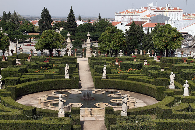 # 126 – 13 – Jardim do Paço Episcopal - Castelo Branco -  Beira Baixa – Portugal