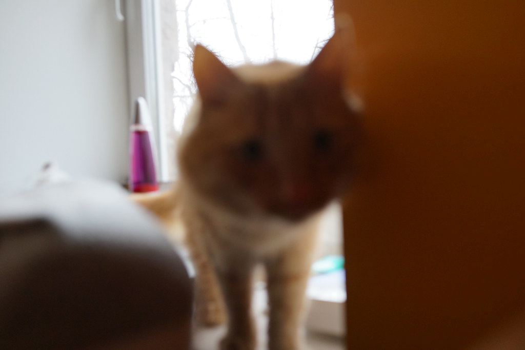 Sony RX1 sample - slow autofocus