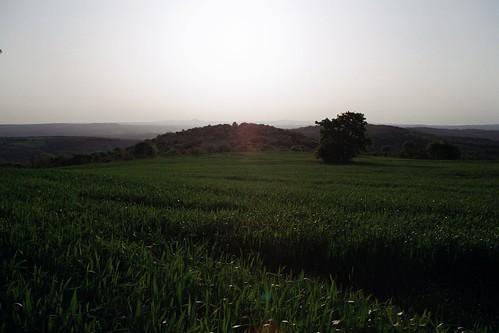 grass plant landscape field hill foothill kofçaz spring crop sunset film analog fuji 35mm
