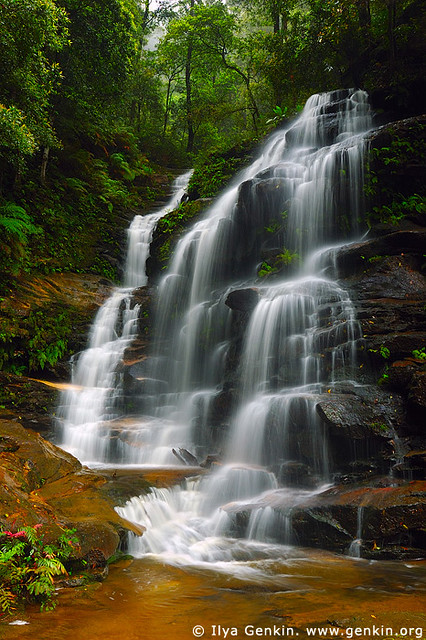 Sylvia Falls, Valley of the Waters Creek, Blue Mountains National Park, New South Wales (NSW), Australia