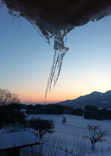winter ice sunrise icicle