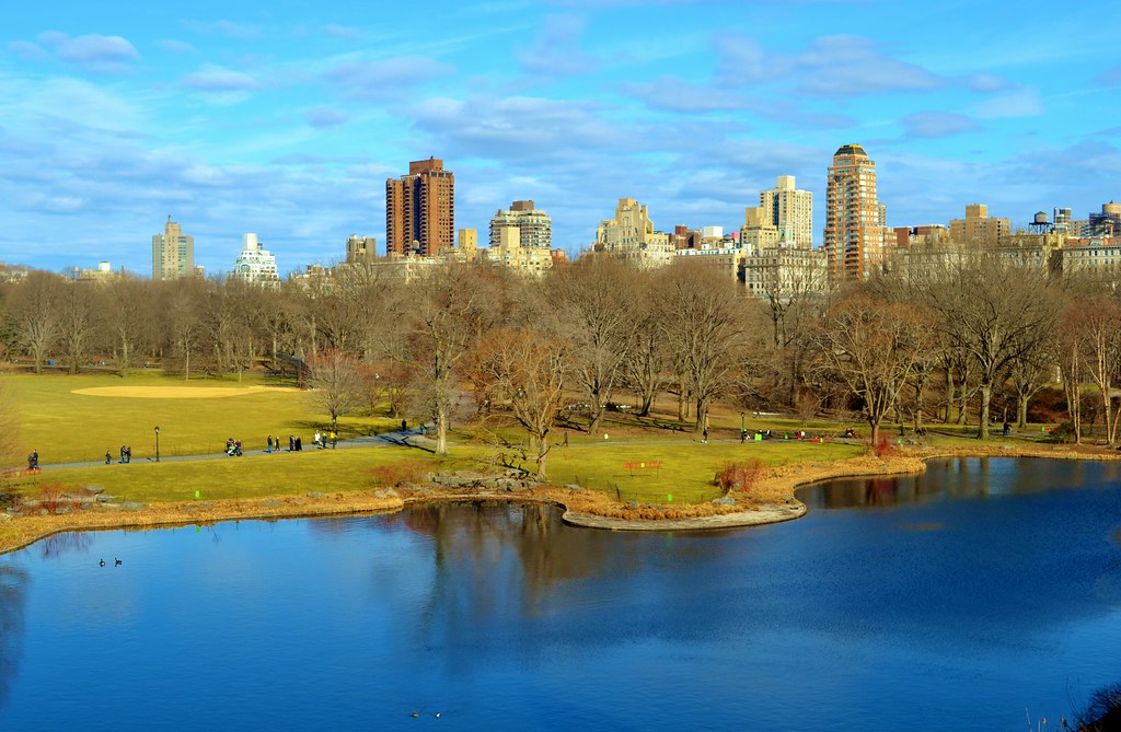 Central Park-The Great Lawn, 03.03.13 | Short walk in Centra… | Flickr
