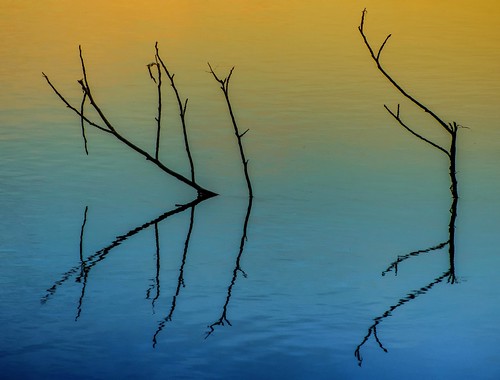 sunset sun reflection tree water river branch panasonic hudson reflexions jagendorf
