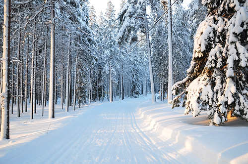 trees winter sunset snow cold forest kyla vinter sweden path skog snö stig träd skitracks solnedgång luleå norrbotten skidspår nikond90 bergnäset skiingtracks höträsket nikkorafsdx18105mmf3556gedvr skiitracks