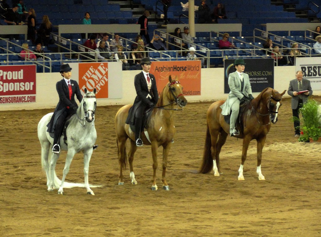 Arabian Horse Show at Westworld of Scottsdale, Arizona, Feb. 14-24, 2013
