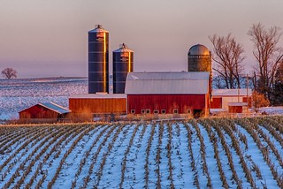 Typical Iowa farmstead at Sunrise HDR