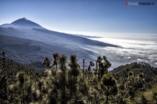 Tenerife 27 - Manto de nubes
