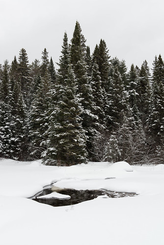 winter snow ontario canada geocaching algonquin nipissingunorganizedsouthpart