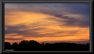 DSC02639_1 - Sunset Photo