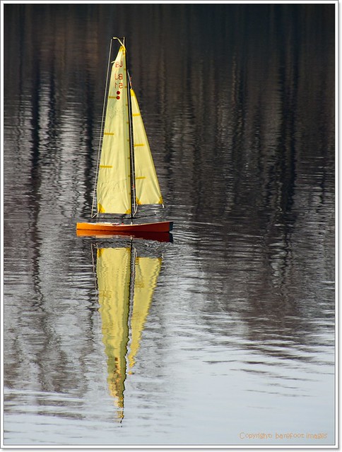 yellow_sail