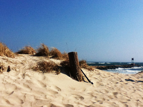 sanddune | by Sarah Haley