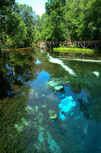 blue water spring florida springs freshwater gilchrist santeferiver gilchristbluesprings