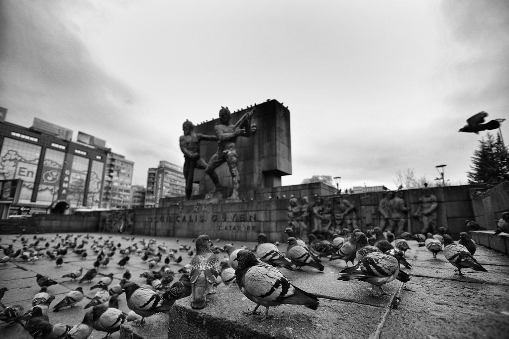 Güvenpark'ta güvercinler - Ankara
