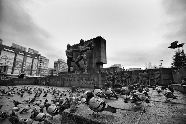 Güvenpark'ta güvercinler - Ankara