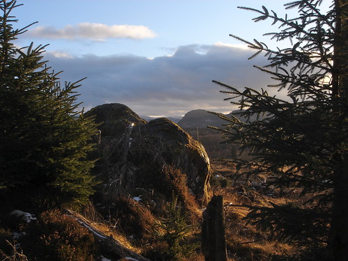 sunset walking highlands boulder invernessshire strathnairn glacialerratic brinrock forestrylandscape