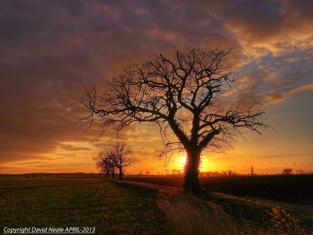 Finished with a Sunset (Explored) - Elmswell