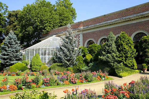 Zomer in de Leuvense Kruidtuin (22/07/2018)