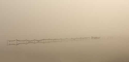 Misty fish net by Jacob Surland Fine Art Photographer, This I saw after driving my son to school. I threw the car to the side of the road and got to catch 