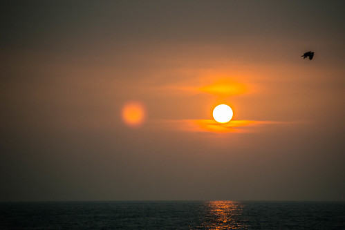 sunset sea orange india bird beach nikon horizon kerala crop kollam kumar goldenball flyingbird kumaravel goldendisk d3100