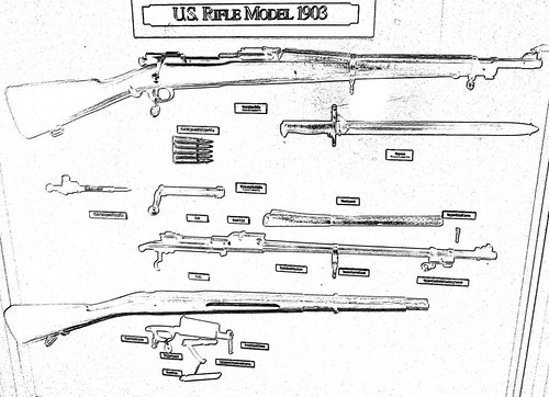 1903 Springfield Rifle | by pecooper98362