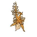 avatar-hangedman
