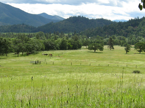 blue sky horses cloud plant mountains tree green nature beauty field grass oregon fence garden outdoors scenery paradise williams scenic peaceful hills explore pacificnorthwest wilderness pacifica medford southernoregon grantspass applegate siskiyous provolt pacificagarden