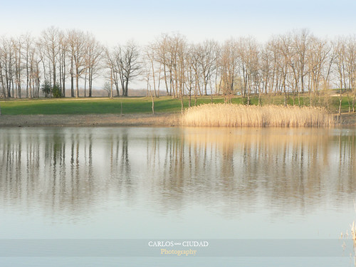 The truth is a reflection in the water by cctrilla, The truth is a blurry reflection in the water
That shows itself different under the light of every g