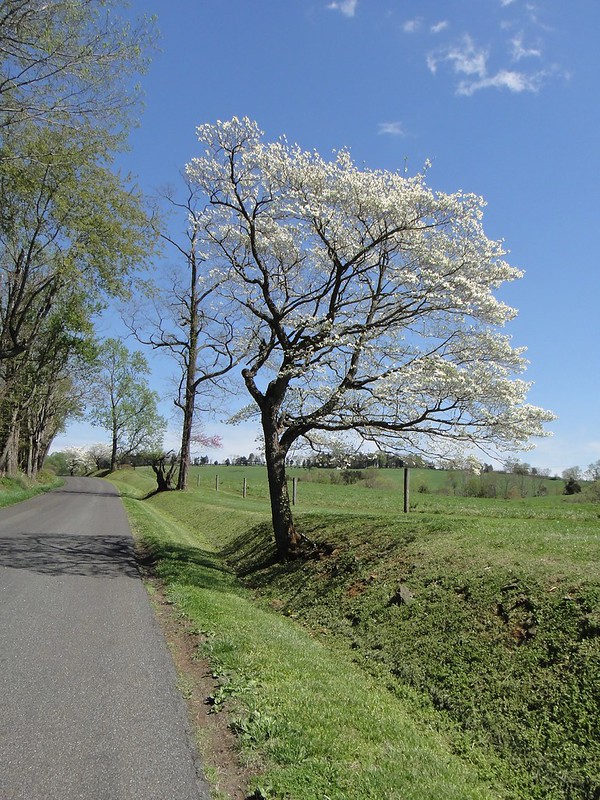 DC Randonneurs Warrenton 300K 4.20.13 | Flickr