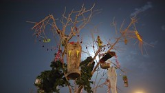 The Shoe tree at night