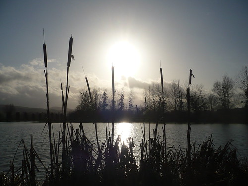 Soleil d'hiver sur le Loch (Bucey-les-Gy) by Capitaine_Lacuzon, 