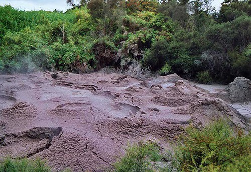mudpool | by TwinCitiesPropertyFinder.com