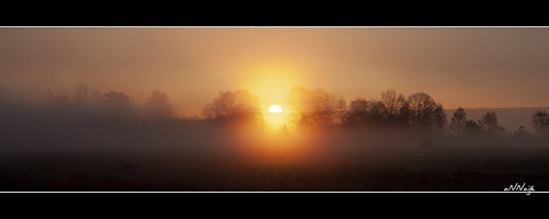morning mist fog sunrise ochtend zonsopkomst dwingelderveld achterlandsveen