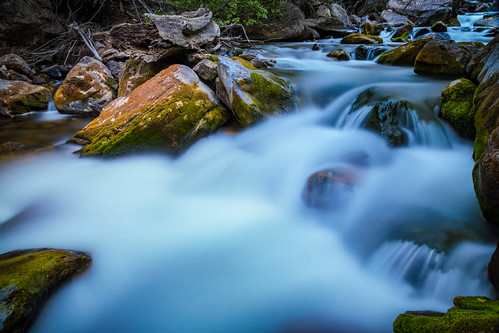 the Flow | by Scott Stringham "Rustling Leaf Design"