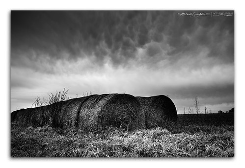 light sky bw white black texture monochrome weather canon season landscape geotagged photography illinois farmland hay haybales mammatus canoneos60d