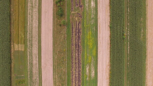 poland polska dji phantom drone green lines farm fields aerial photography abstract diagonal patterns straight texture colors landscape vegetation stripes beautiful