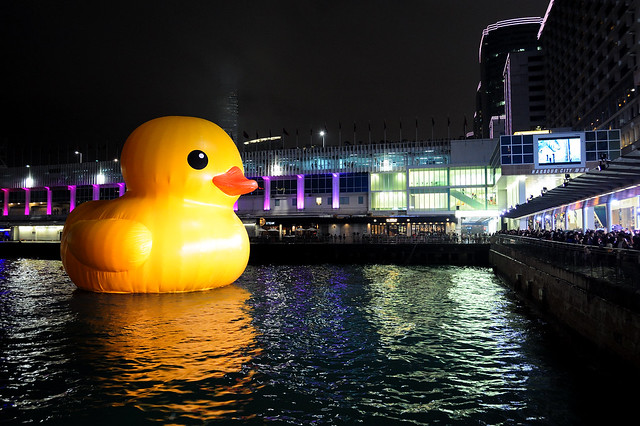 Rubber Duck Hong Kong Tour 2013 Nikon D700