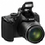 Buddy Icon