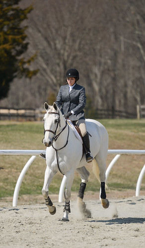 Abby Strohmeyer - Tortuga (Tank) by Purple Panda13, From Sweet Briar College's Spring Equitrial.  The second day of the competition is dedicated to equi