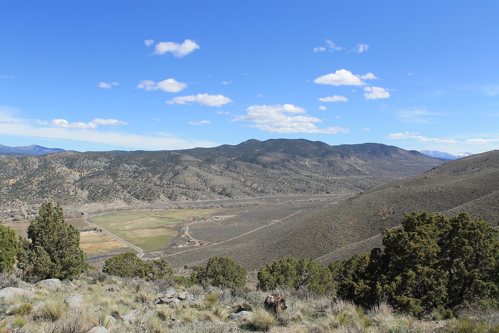 Bitterbrush Loop, near Veterans Day Fun Run