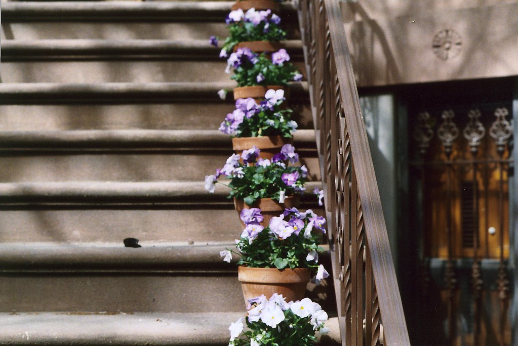 Stoop Flickr Stoop | Squid Ink | Flickr
