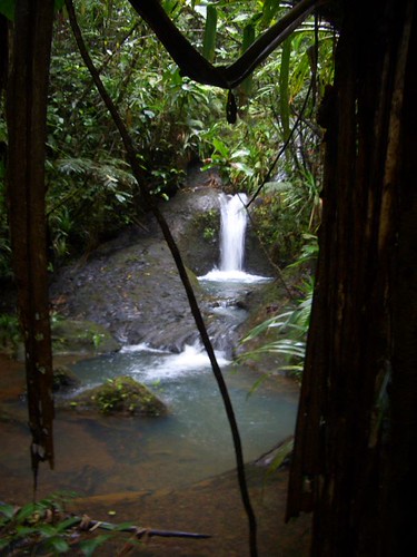 Wasserfall Nummer 1000 | by kitti_katti05