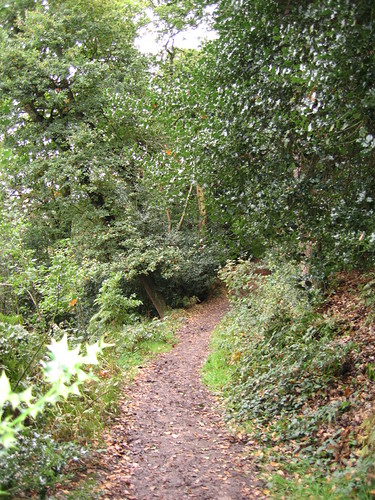 Pathway | by BinaryApe