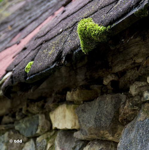 geocaching minnesota patsgrove stonework building abandoned moss pioneer ruins