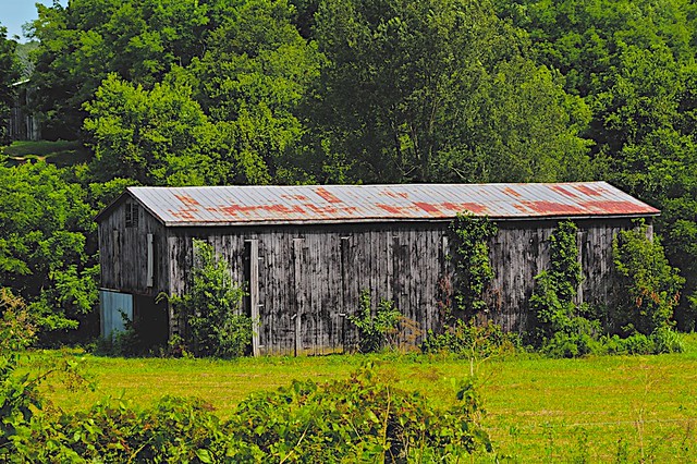 Kentucky Tobacco Barn