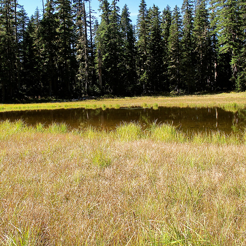 High lake