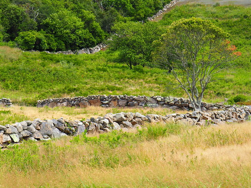 blockisland rhodeisland m43 em10ii grassland field stone wall landscape