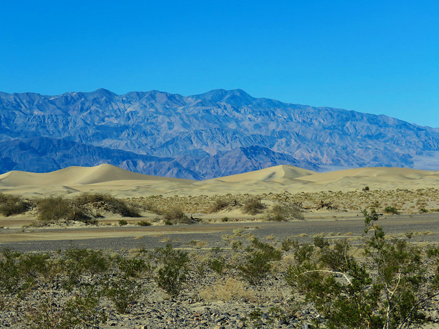 Mesquite Flats dunes (2 of 2)