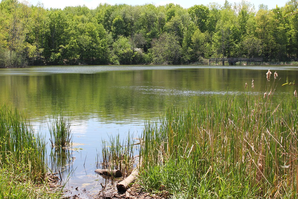 MI Big Green Gym: Maybury State Park