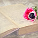 Flower and Book