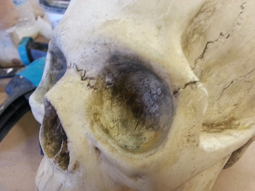 Close up of skull